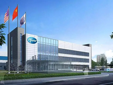 Pfizer Pharmaceutical Project